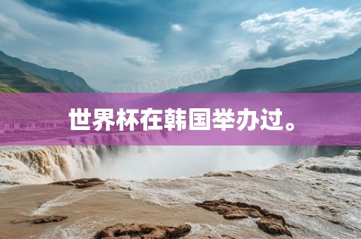 世界杯在韩国举办过。