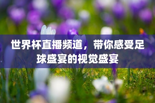 世界杯直播频道，带你感受足球盛宴的视觉盛宴