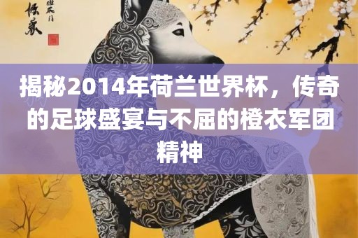 揭秘2014年荷兰世界杯，传奇的足球盛宴与不屈的橙衣军团精神