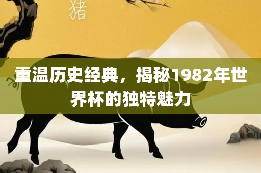 重温历史经典，揭秘1982年世界杯的独特魅力
