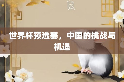 世界杯预选赛，中国的挑战与机遇