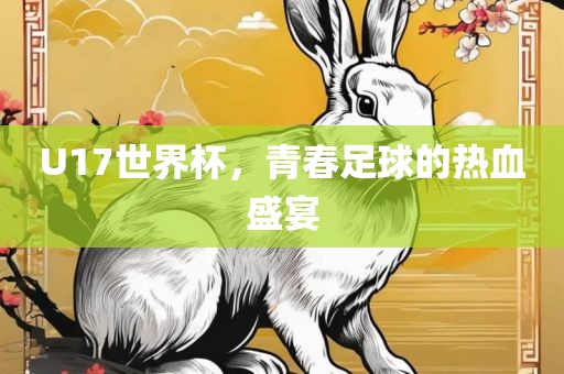 U17世界杯，青春足球的热血盛宴
