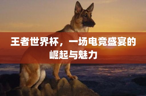 王者世界杯，一场电竞盛宴的崛起与魅力