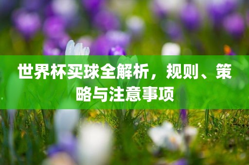 世界杯买球全解析，规则、策略与注意事项