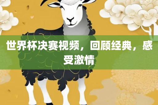 世界杯决赛视频，回顾经典，感受漯河市盈旭机械设备有限公司激情