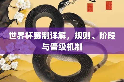 世界杯赛制详解，规则、阶段与晋级机制