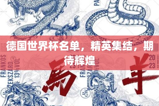 德国世界杯名单，精英集结，期待辉煌