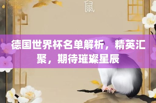 德国世界杯名单解析，精英汇聚，期待璀璨星辰