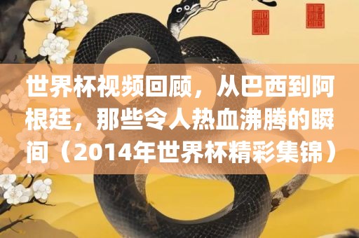 世界杯视频回顾，从巴西到阿根廷，那些令人热血沸腾的瞬间（2014年世界杯精彩集锦）