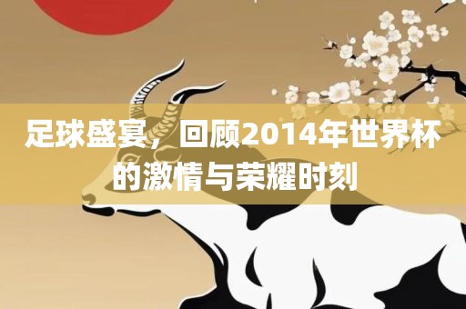 足球盛宴，回顾2014年世界杯的激情与荣耀时刻