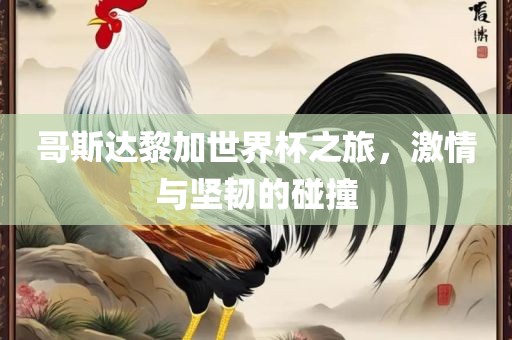 哥斯达黎加世界杯之旅，激情与坚韧的碰撞