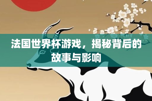 法国世界杯游戏，揭秘背后的故事与影响