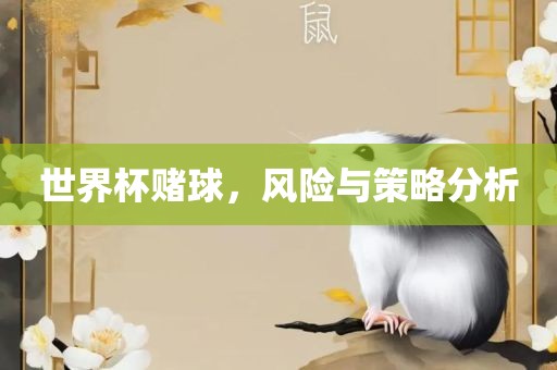 世界杯赌球，风险与策略分析