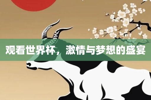 观看世界杯，激情与梦想的盛宴