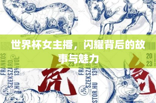 世界杯女主播，闪耀背后的故事与魅力