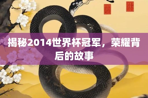 揭秘2014世界杯冠军，荣耀背后的故事
