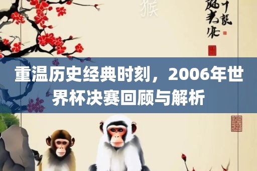 重温历史经典时刻，2006年世界杯决赛回顾与解析