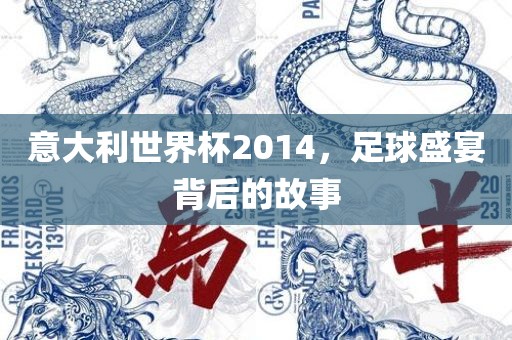 意大利世界杯2014，足球盛宴背后的故事