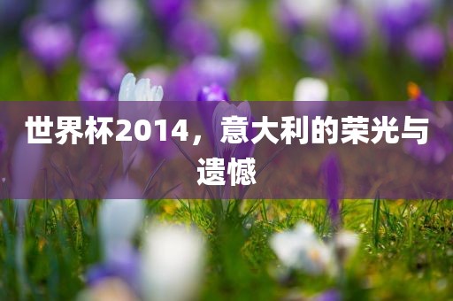 世界杯2014，意大利的荣光与遗憾