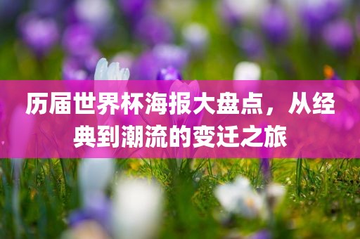 历届世界杯海报大盘点，从经典到潮流的变迁之旅