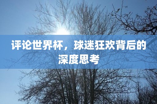 评论世界杯，球迷狂欢背后的深度思考