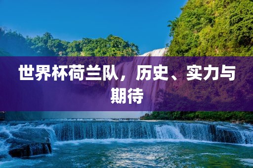 世界杯荷兰队，历史、实力与期待