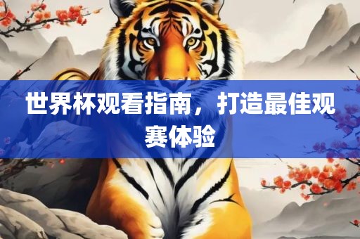 世界杯观看指南，打造最佳观赛体验