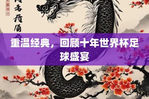 重温经典，回顾十年世界杯足球盛宴
