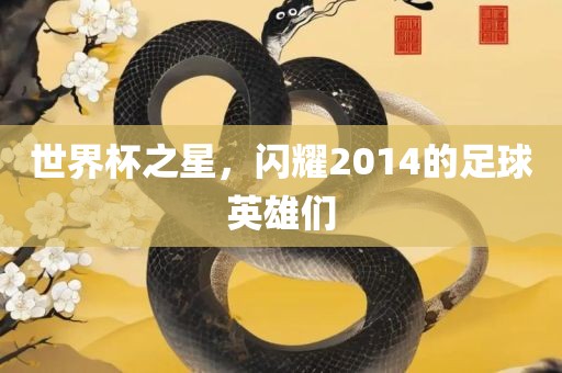 世界杯之星，闪耀2014的足球英雄们