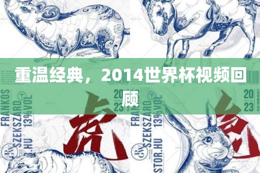 重温经典，2014世界杯视频回顾