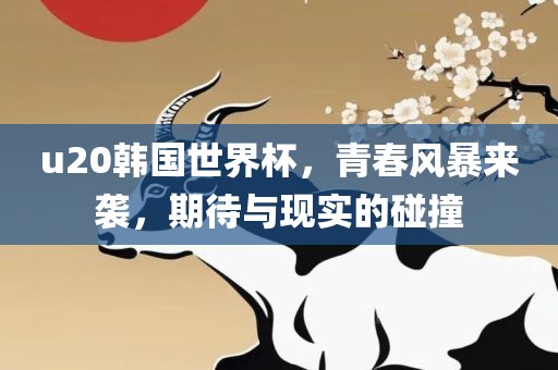 u20韩国世界杯，青春风暴来袭，期待与现实的碰撞