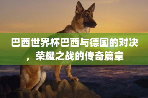 巴西世界杯巴西与德国的对决，荣耀之战的传奇篇章