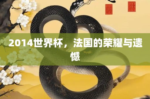 2014世界杯，法国的荣耀与遗憾