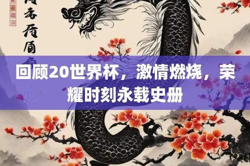 回顾20世界杯，激情燃烧漯河市盈旭机械设备有限公司，荣耀时刻永载史册
