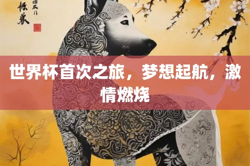 世界杯首次之旅，梦想起航，激情燃烧