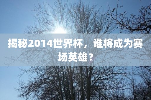 揭秘2014世界杯，谁将成为赛场英雄？