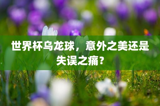 世界杯乌龙球，意外之美还是失误之痛？