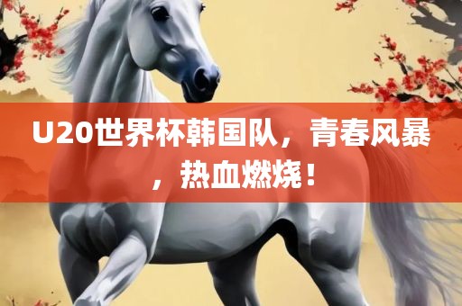 U20世界杯韩国队，青春风暴，热血燃烧！