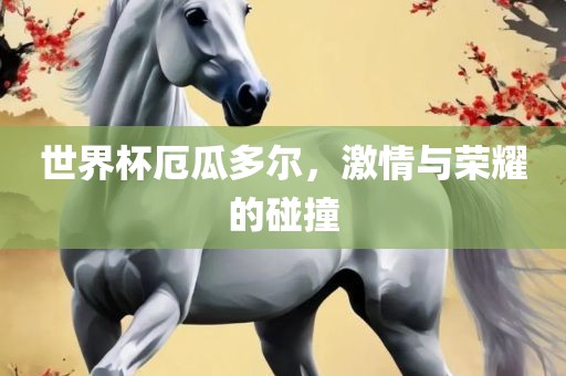 世界杯厄瓜多尔，激情与荣耀的碰撞