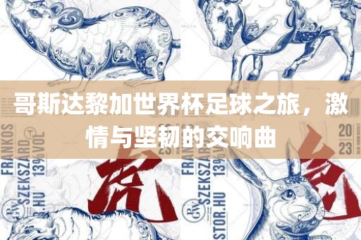 哥斯达黎加世界杯足球之旅，激情与坚韧的交响曲