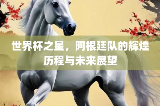 世界杯之星，阿根廷队的辉煌历程与未来展望