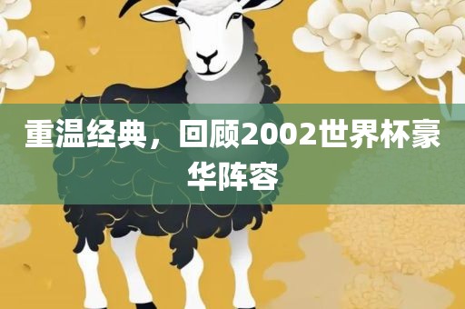 重温经典，回顾2002世界杯豪华阵容