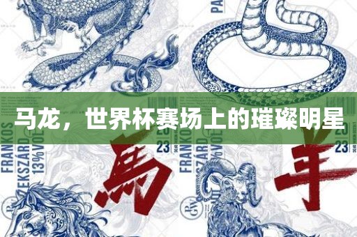 马龙，世界杯赛场上的璀璨明星