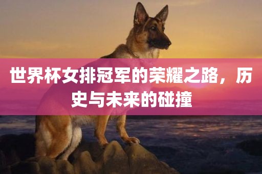世界杯女排冠军的荣耀之路，历史与未来的碰撞