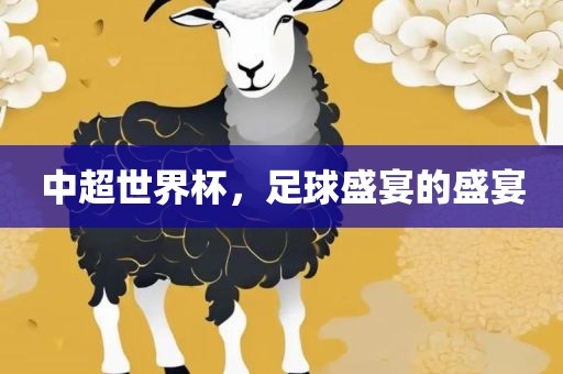 中超世界杯，足球盛宴的盛宴