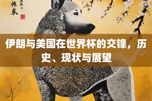 伊朗与美国在世界杯的交锋，历史、现状与展望漯河市盈旭机械设备有限公司