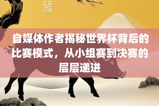 自媒体作者揭秘世界杯背后的比赛模式，从小组赛到决赛的层层递进