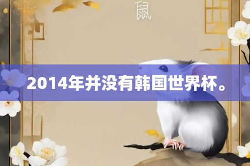 2014年并没有韩国世界杯。