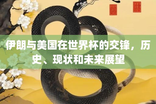 伊朗与美国在世界杯的交锋，历史、现状和未来展望漯河市盈旭机械设备有限公司