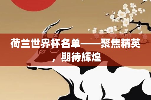 荷兰世界杯名单——聚焦精英，期待辉煌